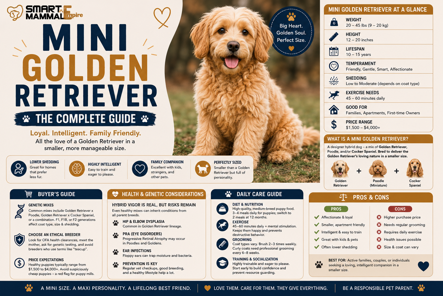 The Ultimate Mini Golden Retriever Guide: Buying Tips, Daily Care & What Every Owner Should Know