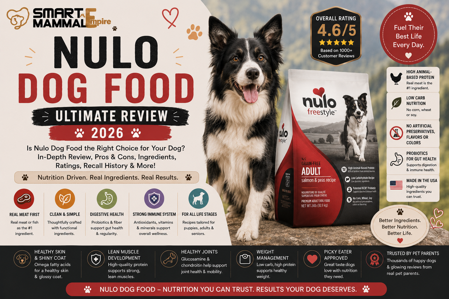 Nulo Dog Food – Ultimate Review 2026